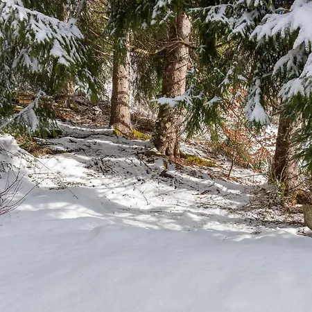 Chalet Le Raccard 1066